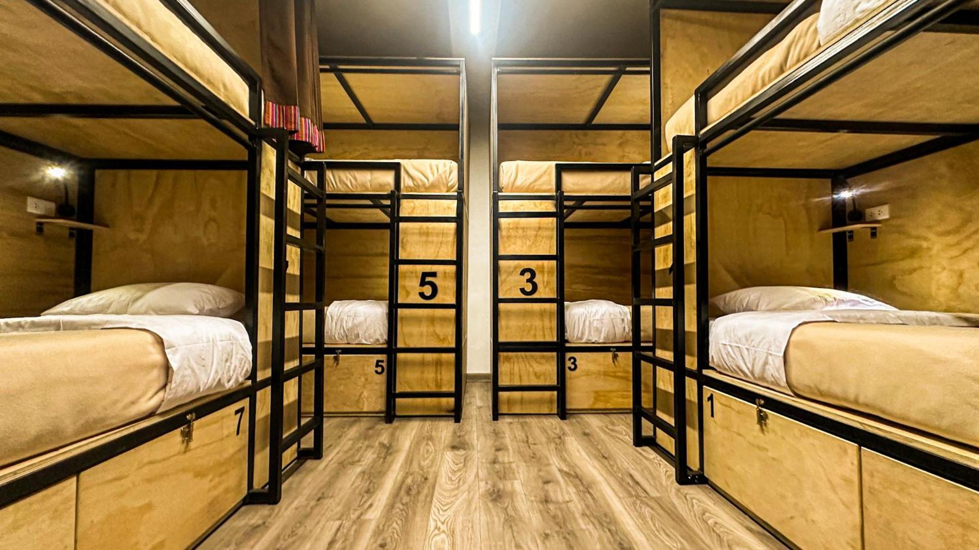Auberge de jeunesse Black Llama *